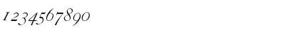 Download CaslonH-SC-Italic Regular Font Numeric Preview
