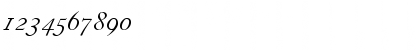 Download CaslonZH-Italic Regular Font Numeric Preview