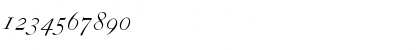 Download CaslonZH-SC-Italic Regular Font Numeric Preview
