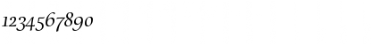 Download Cataneo Light Swash Font Numeric Preview