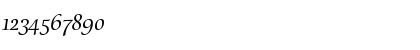 Download Cataneo Light Swash Font Numeric Preview