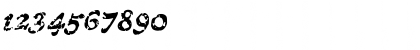 Download CCTreasureTroveDecayed Italic Font Numeric Preview