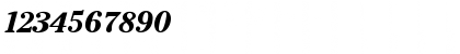 Download Cheltenham BoldItalic Font Numeric Preview