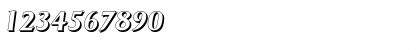 Download BruceBeckerShadow BoldItalic Font Numeric Preview