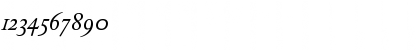 Download DTL Elzevir T Caps Italic Font Numeric Preview