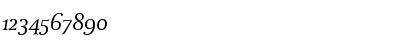 Download DTLParadoxST Italic Font Numeric Preview