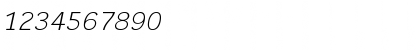 Download DynaGrotesk LXE Italic Font Numeric Preview