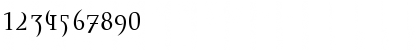 Download Envision Roman Font Numeric Preview