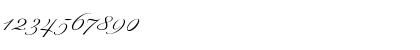 Download Excelsor Script Italic Font Numeric Preview