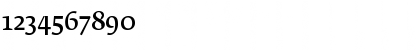 Download FedraSerifB Normal Font Numeric Preview