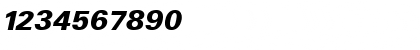 Download Uniform Black Italic Font Numeric Preview