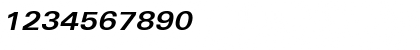 Download Univers ExtendedPS Bold Italic Font Numeric Preview