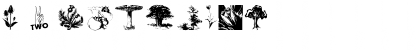 Download Botanicals Regular Font Numeric Preview