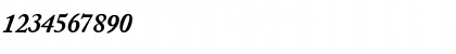 Download CaslonBlackSSK Italic Font Numeric Preview