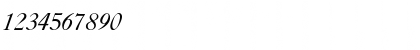 Download CaslonFiveSSK Italic Font Numeric Preview