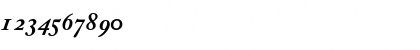 Download CaslonProBlackSSK Italic Font Numeric Preview