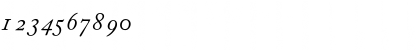 Download CaslonProSSK Italic Font Numeric Preview