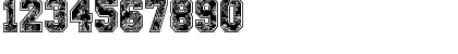 Download Paysley Sports Regular Font Numeric Preview