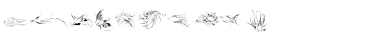 Download Penmanship Birds Free Regular Font Numeric Preview