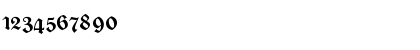 Download DS CaslonGotischOsF Regular Font Numeric Preview