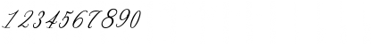 Download Bernadine Script Italic Font Numeric Preview