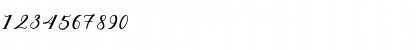 Download Cintya Script Regular Font Numeric Preview