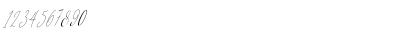 Download Diamante Signature_Italic Font Numeric Preview
