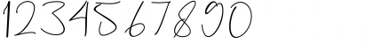 Download Estefin Regular Font Numeric Preview