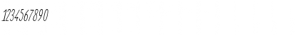 Download Elegant Sans Italic Font Numeric Preview
