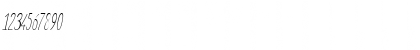 Download Elegant Sans Light Italic Font Numeric Preview