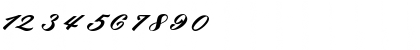 Download bruke Regular Font Numeric Preview