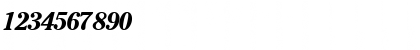 Download CheltenhamSSK BoldItalic Font Numeric Preview