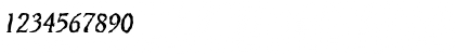 Download VeracruzRandom Italic Font Numeric Preview