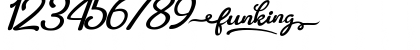 Download Funking Regular Font Numeric Preview