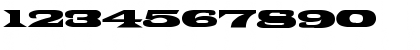 Download PonchoVia Wd Regular Font Numeric Preview