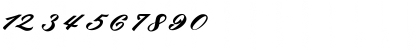 Download bruke Regular Font Numeric Preview