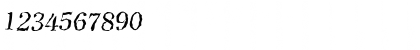 Download ChristianBeckerRandom Italic Font Numeric Preview