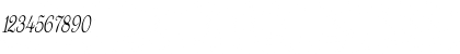 Download WaltersCondensed Italic Font Numeric Preview