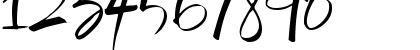 Download Wanda's Write Regular Font Numeric Preview