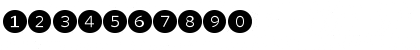 Download WhitneyIndexBlack Medium Font Numeric Preview