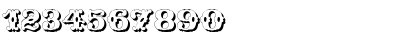 Download Wild West Shadow Regular Font Numeric Preview