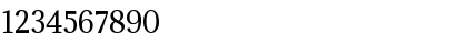 Download Adamina Regular Font Numeric Preview