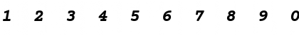 Download Courier Prime Bold Italic Font Numeric Preview