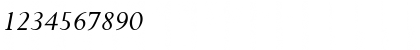Download P700-Roman Italic Font Numeric Preview