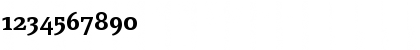 Download PageSerif-DemiBold Regular Font Numeric Preview