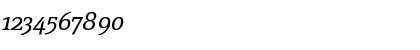 Download PageSerif-LightItalic Regular Font Numeric Preview