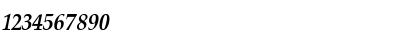 Download Palatino Bold Italic Font Numeric Preview