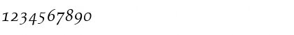 Download Palatino SC Italic Font Numeric Preview