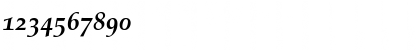 Download PalatinoOldStyleFigures BoldItalic Font Numeric Preview