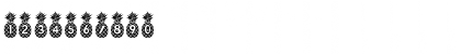 Download Pineapple_Mono Regular Font Numeric Preview